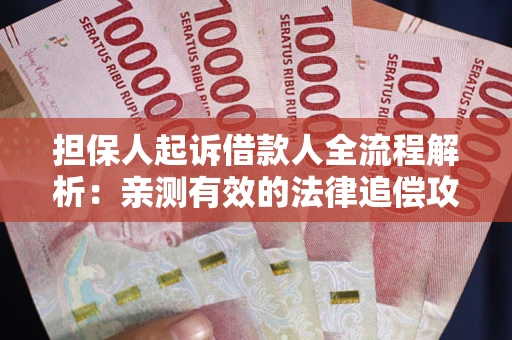 济南担保人起诉借款人全流程解析：亲测有效的法律追偿攻略