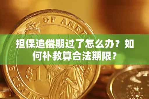 济南担保追偿期过了怎么办？如何补救算合法期限？
