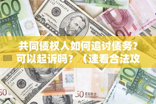 济南共同债权人如何追讨债务？可以起诉吗？（速看合法攻略）